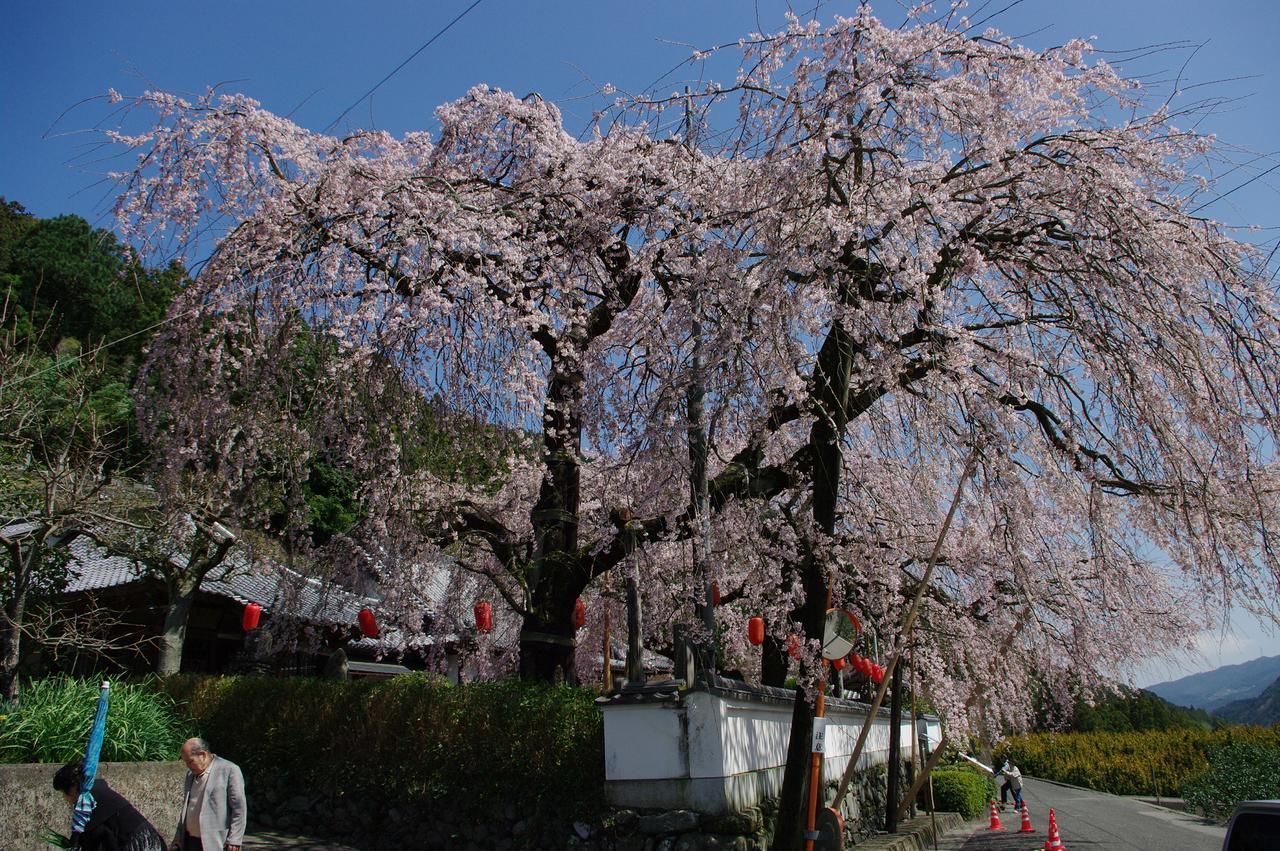 Kamiyama Onsen Hotel Shikinosato & Iyashinoyu Tokusima Kültér fotó